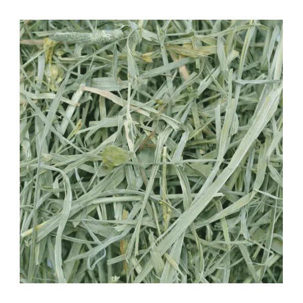 Oxbow Timothy Meadow Hay, 35 oz