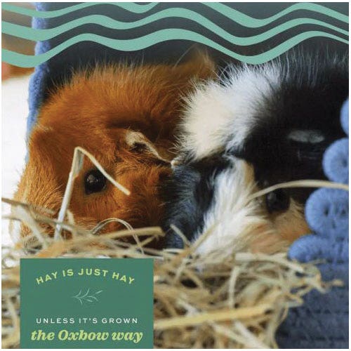 Oxbow Timothy Meadow Hay, 84 oz
