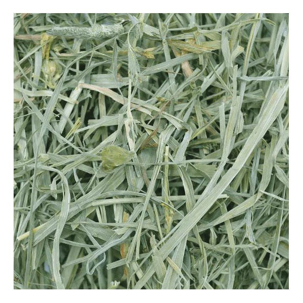 Oxbow Timothy Meadow Hay, 84 oz