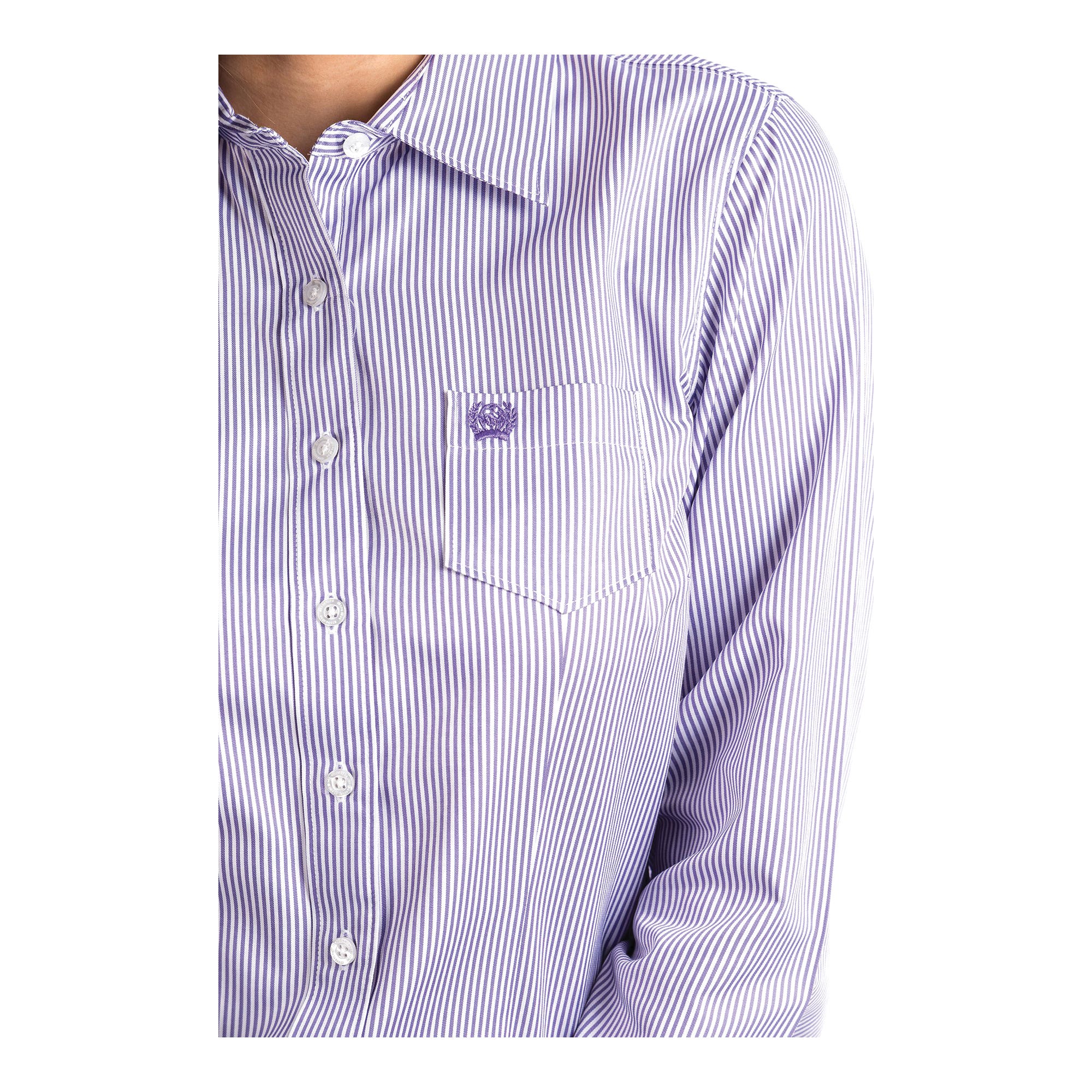 Cinch Shirt, XL, Cotton/Polyester/Tencel, Purple/White, Logo Embroidery, Striped, Button-Down, Spread