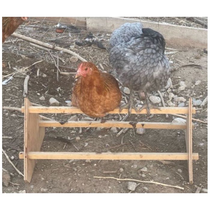 Harvest Lane Honey Wooden Chicken Perch