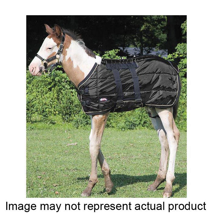 Weaver Leather Foal Blanket, One Size, 420D Nylon, Black