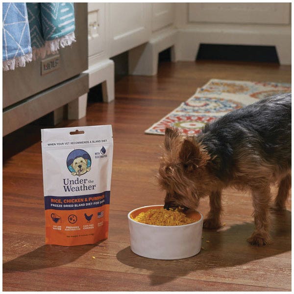 Under the Weather Dog Food, Freeze Dried, Chicken, Pumpkin, Rice, 6 oz