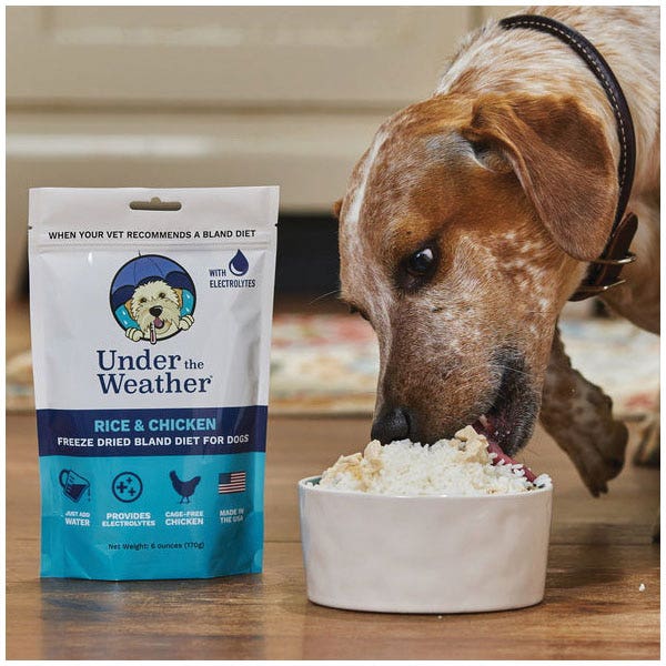 Under the Weather Dog Food, Freeze Dried, Chicken, Rice, 6 oz