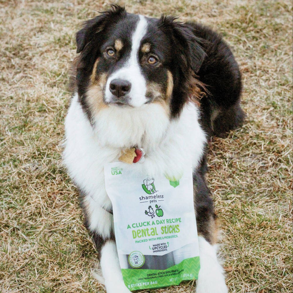 Shameless Pets 745 A Cluck A Day Dental Stick, Special Diet: Corn-Free, Grain-Free, Soy-Free, Apple, Chicken, 7.2 oz