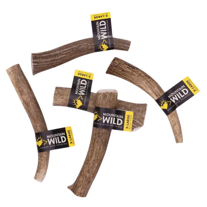 Mountain Wild 10019 Whole Antler Chew, XL, Wild Elk, 65 to 85 lb