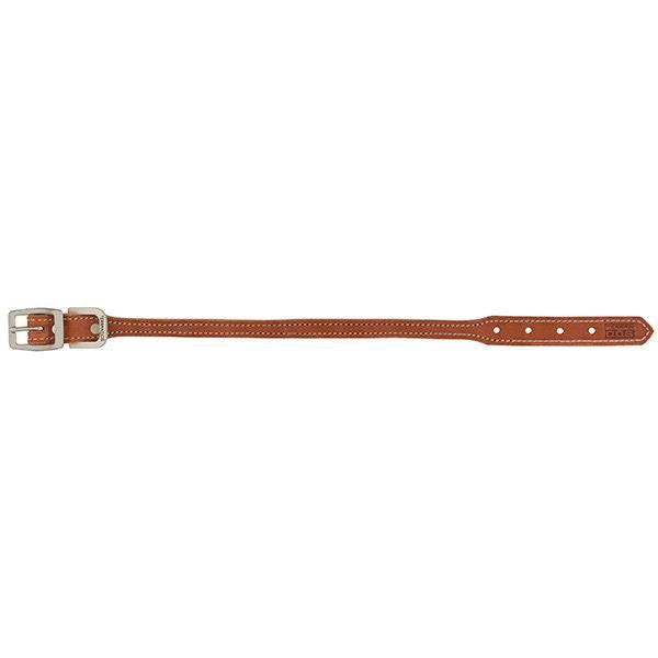 Terrain Dog Hybrid Dog Collar, 19 in L, 1 in W, Leather, Light Brown