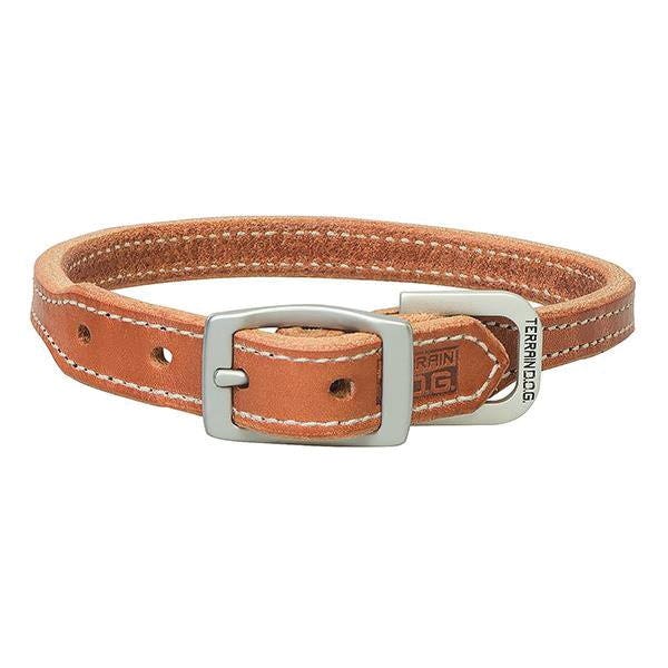 Terrain Dog Hybrid Dog Collar, 19 in L, 1 in W, Leather, Light Brown