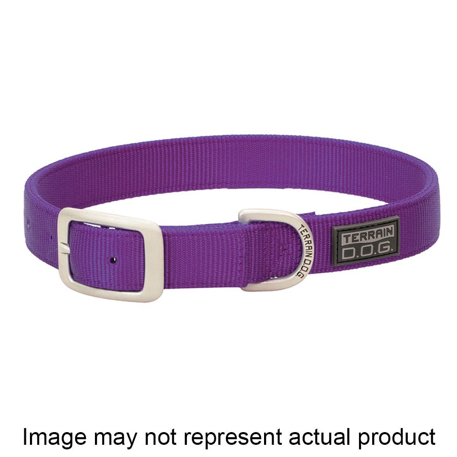 Terrain Dog Collar, 25 in L, 1 in W, Nylon, Orange