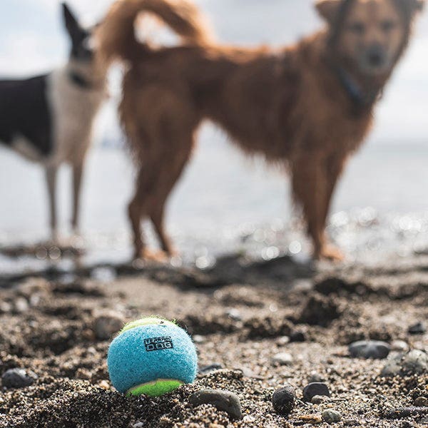 Terrain Dog Tennis Ball Dog Toy