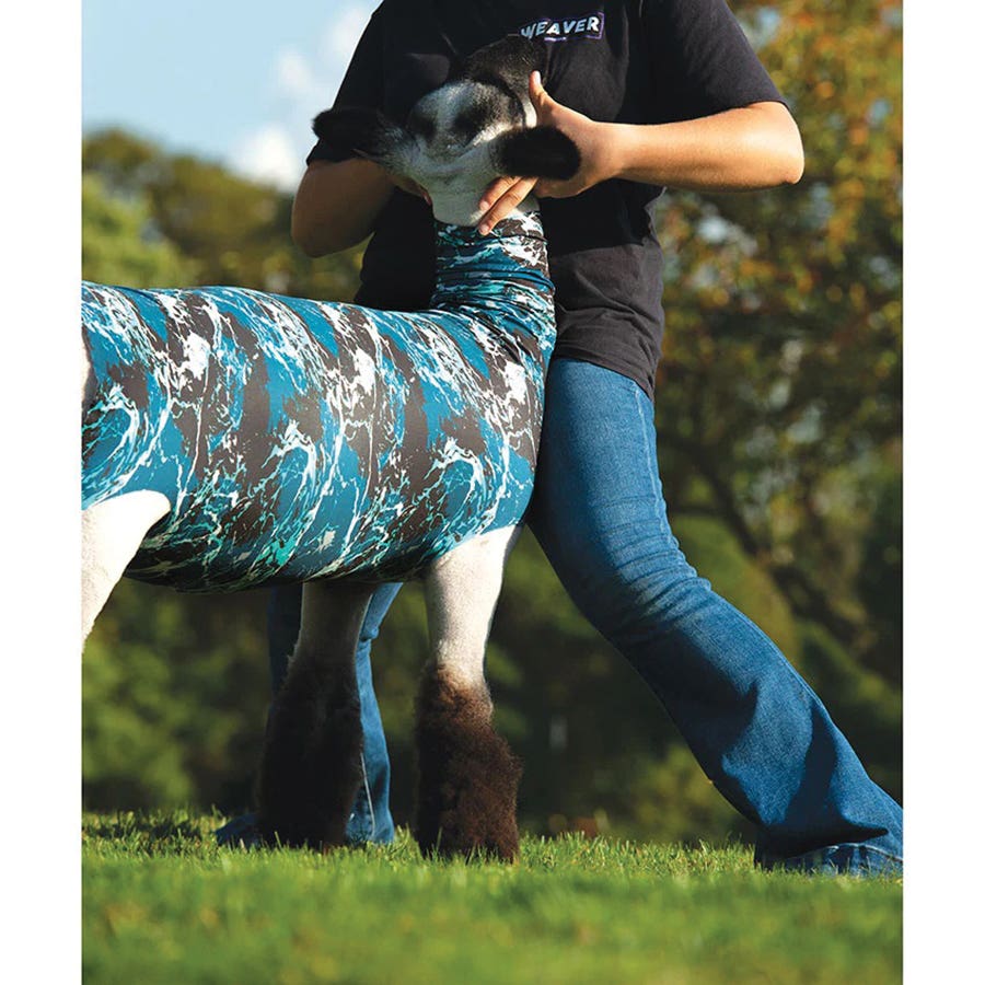 Weaver Livestock Sheep Tube, Medium, Spandex, Tidal Wave