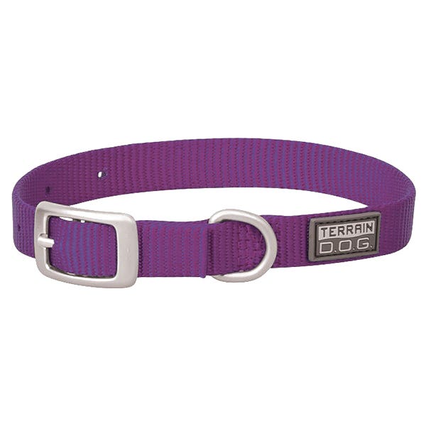 Terrain Dog Dog Collar, 13 in L, 5/8 in W, Nylon, Purple