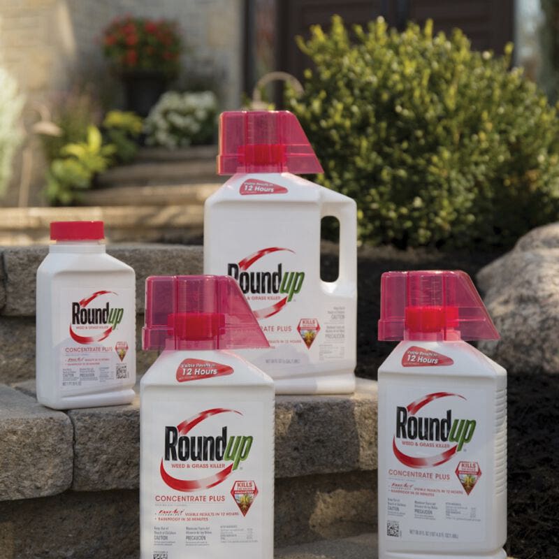 Roundup 5376712 Weed and Grass Killer, Liquid, 16 oz