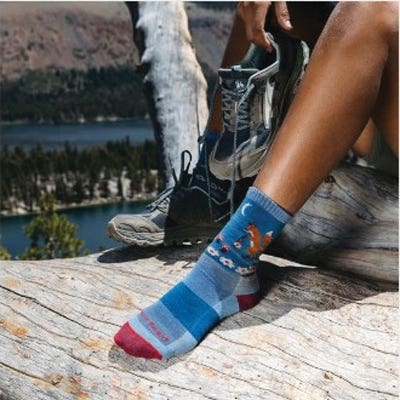 Darn Tough Women's Critter Club Micro Crew Lightweight Hiking Sock - 921018