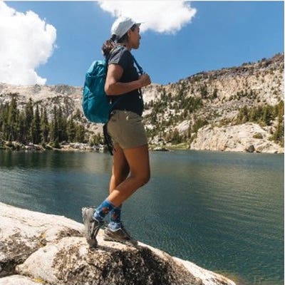 Darn Tough Women's Critter Club Micro Crew Lightweight Hiking Sock - 921018