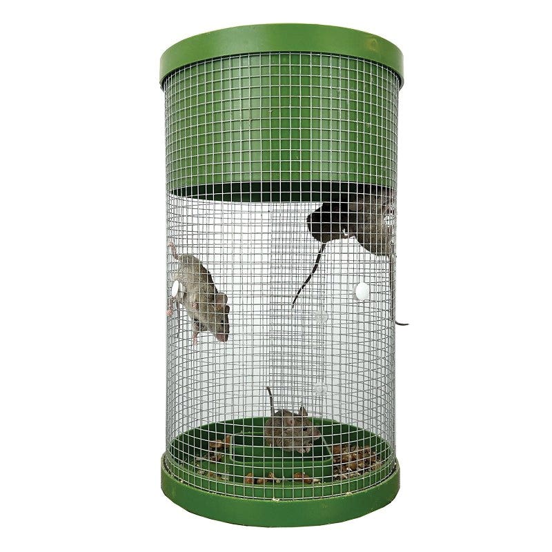 Billy Bob Products 41100 Multi-Catch Mouse Trap