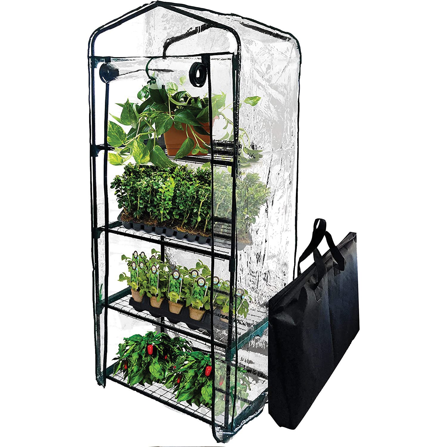Backyard Expressions 911363 Mini Greenhouse with Portable Carry Storage Bag, 27 in L, 19 in W, 63 in H, Transparent