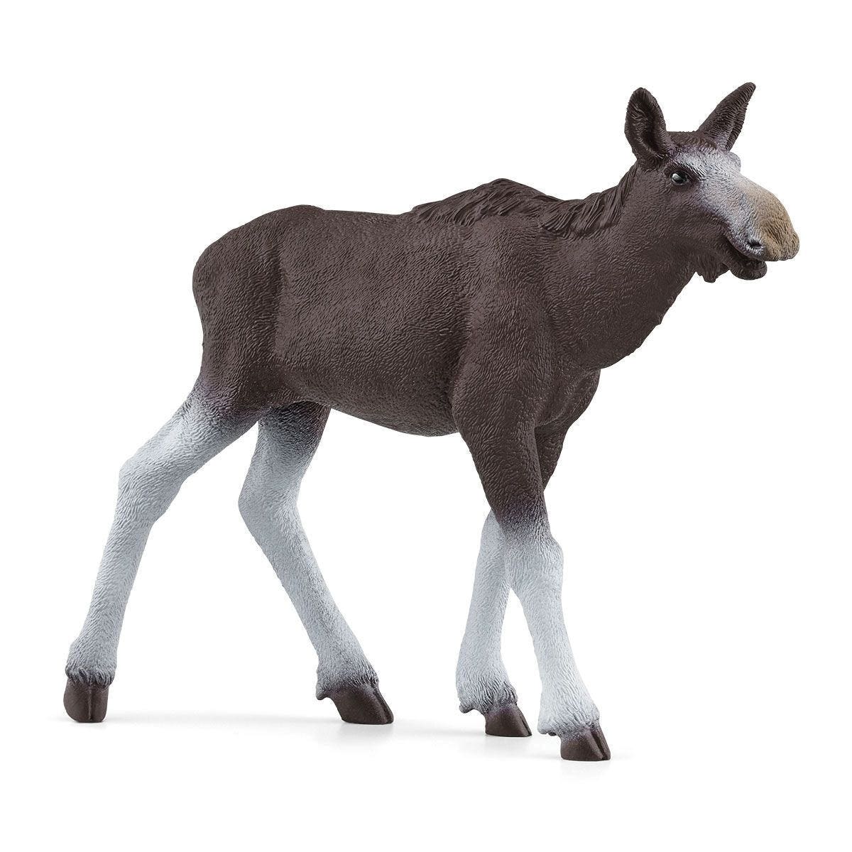 Schleich-S 42629 Animal Toy, 3 to 8 years, Moose