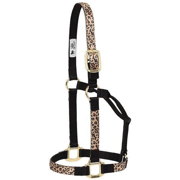 Weaver Equine 35-6782-202 Non-Adjustable Halter, L, Nylon, Leopard