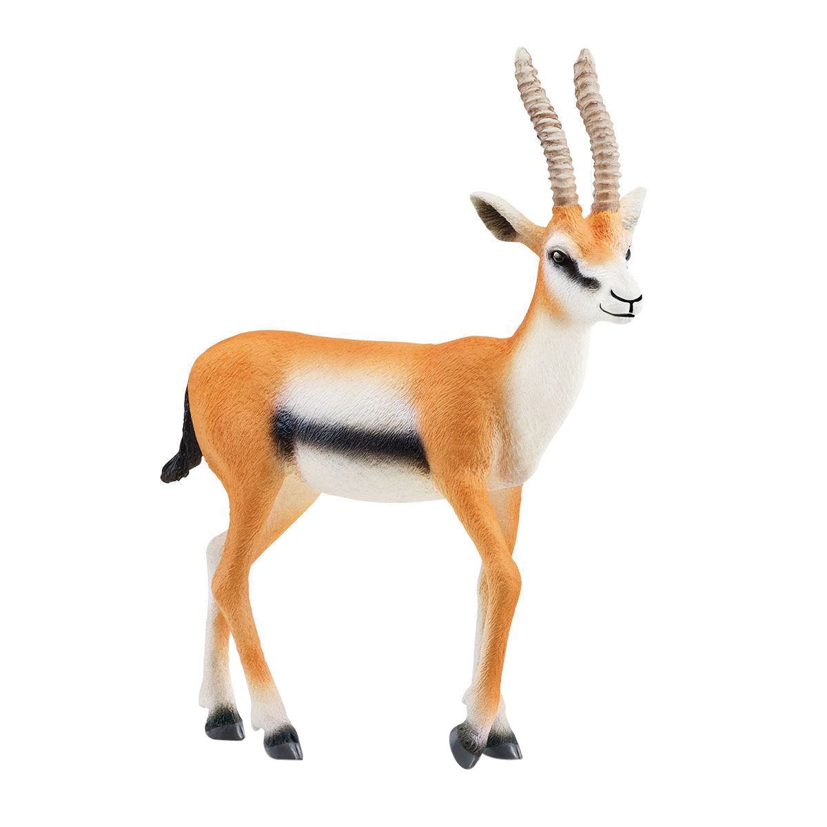Schleich-S 14861 Animal Toy, 3 to 8 years, Thomson Gazelle