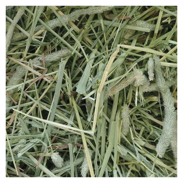 STANDLEE Hand-Selected Timothy Grass, 9 Lb.