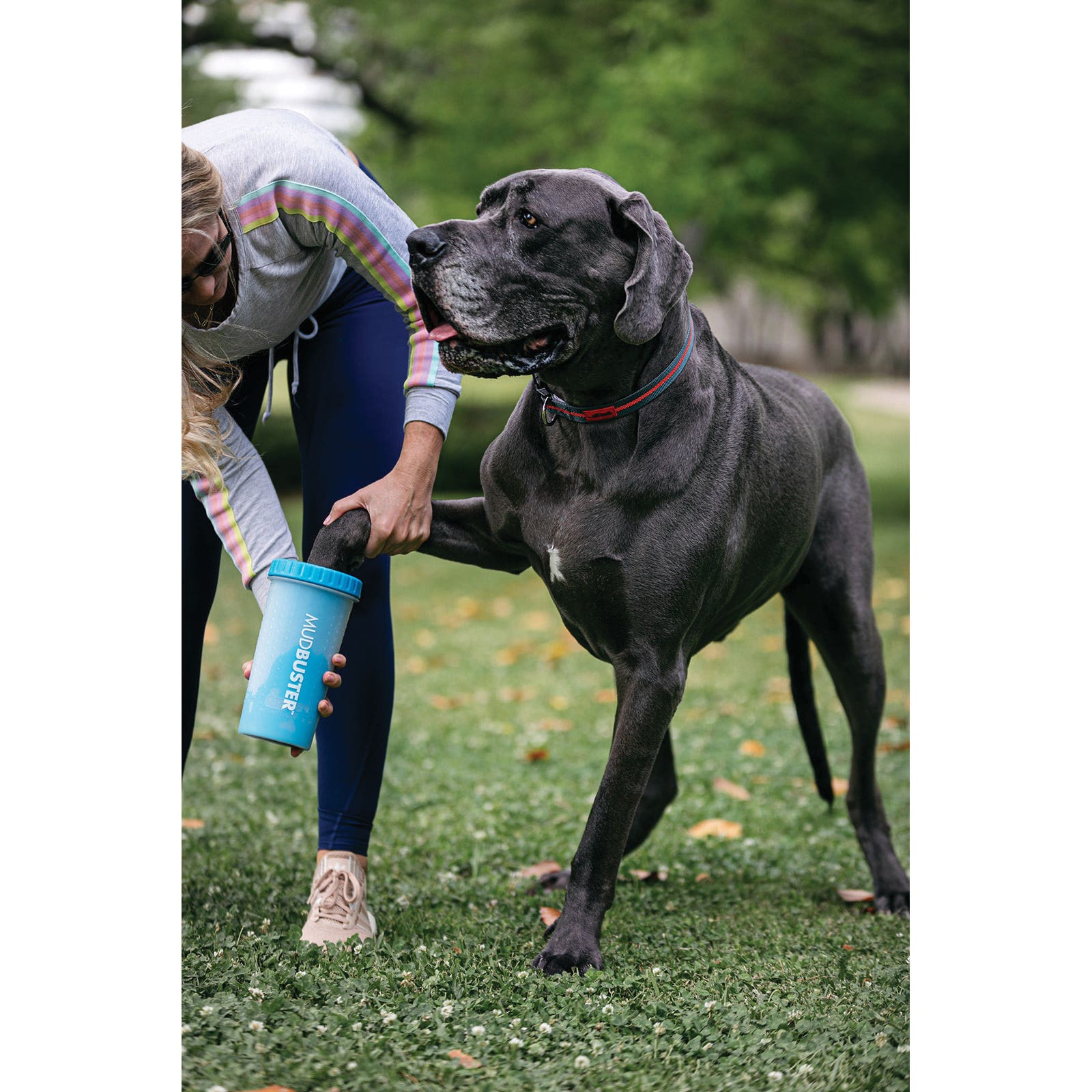 Dexas Mudbuster Series PW7202194 Tumbler, Silicone, Blue, Dog