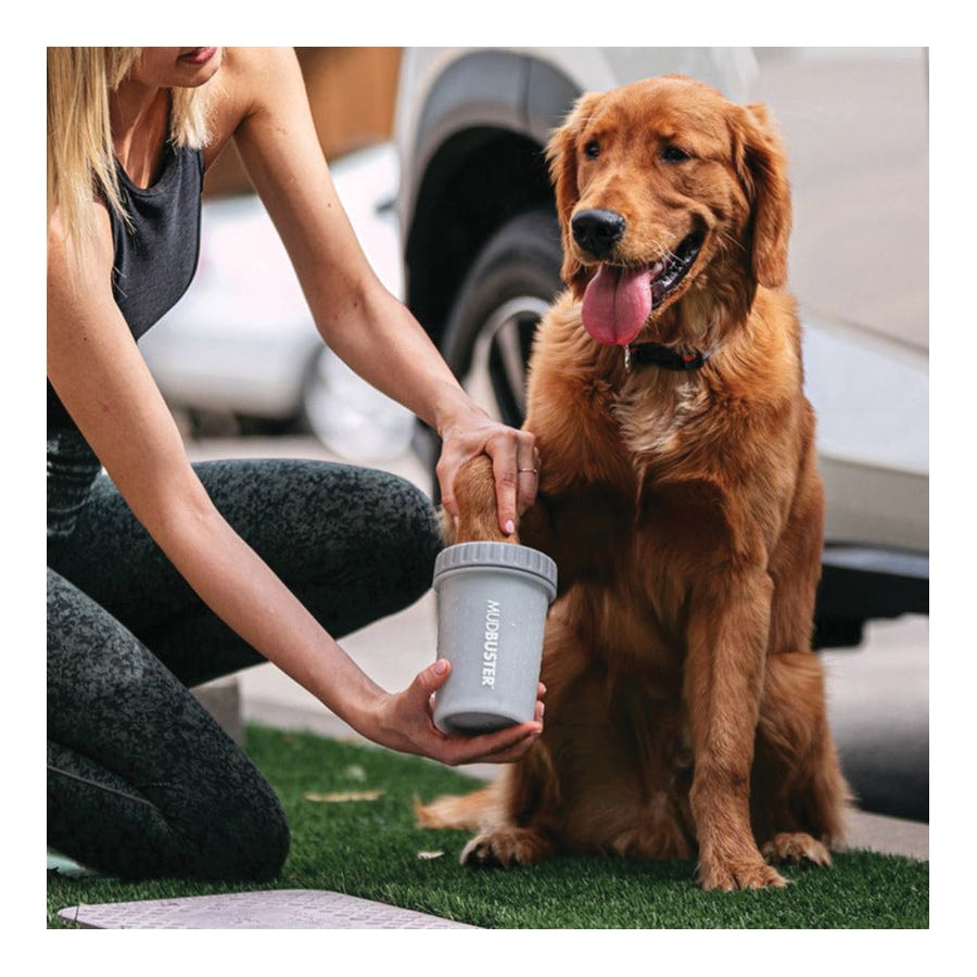 Dexas Mudbuster Series PW710429 Tumbler, Silicone, Gray, Dog