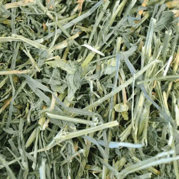 Oxbow Alfalfa Hay, Chinchilla, Guinea Pig, Rabbit Food, 40 oz