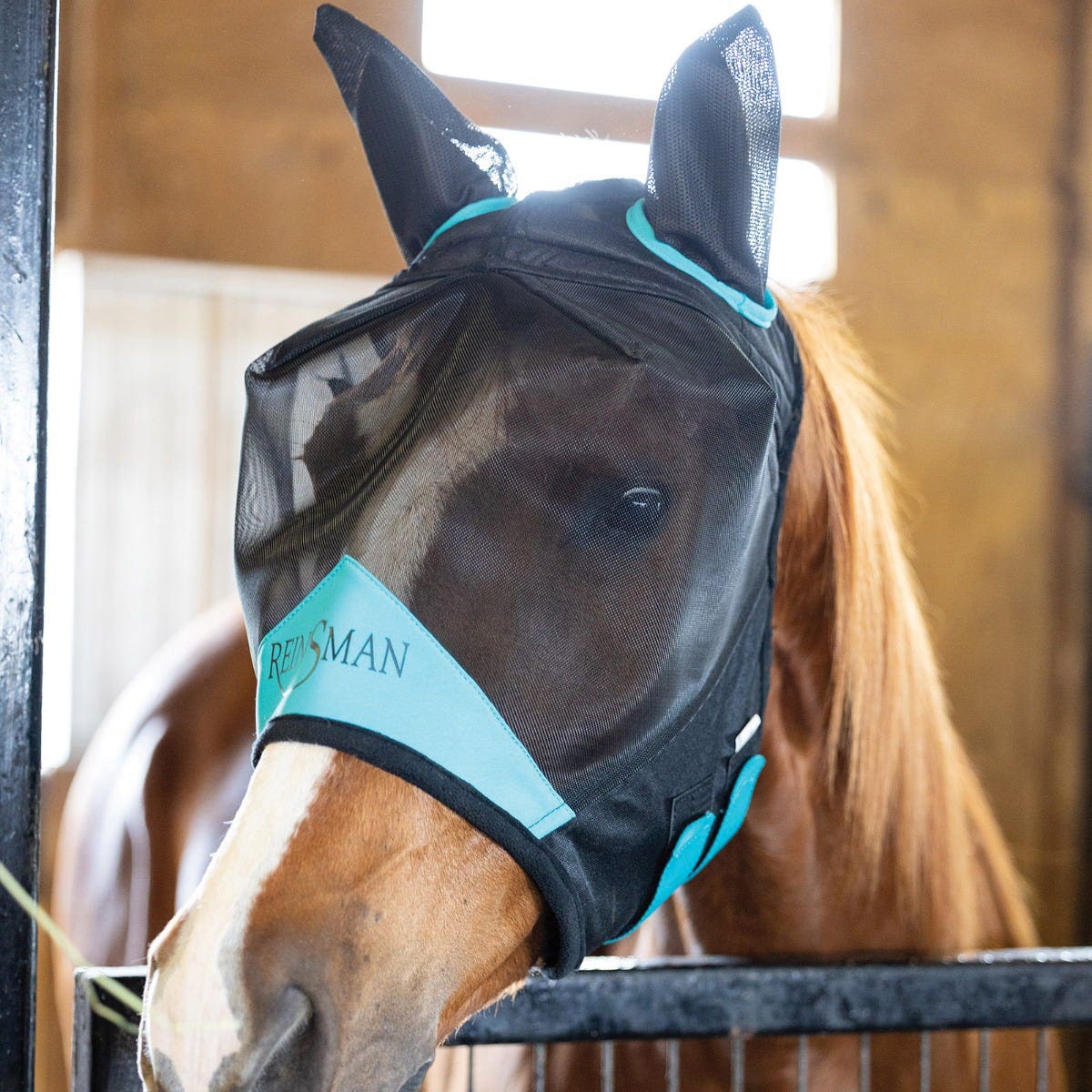 Reinsman F102-SM-LB Fly Mask with Ears, S, Hook and Loop Closure, Black/Turquoise