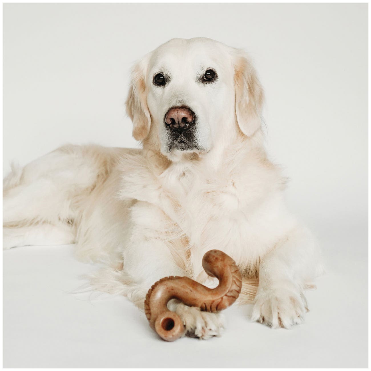Benebone Dog Toy, L, Beef, Chew, Bone, Nylon/Real Beef Tripe