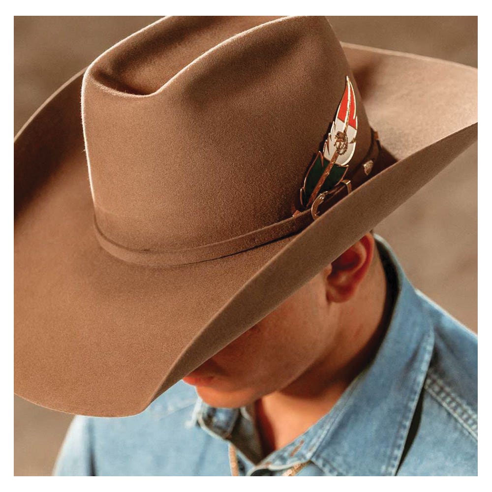 Montana Silversmiths Hat Feather, Brass