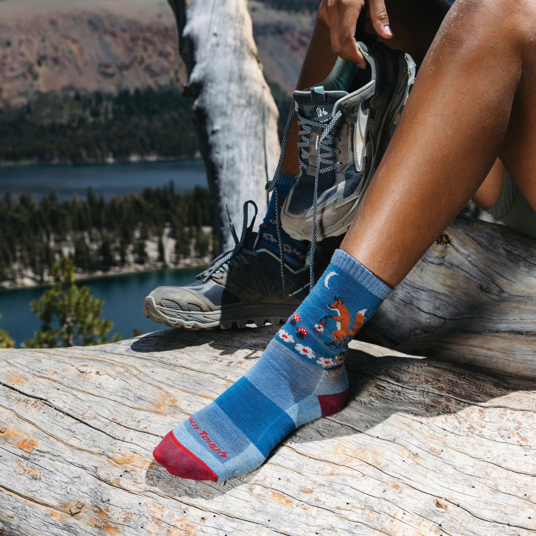 Darn Tough Women's Critter Club Micro Crew Lightweight Hiking Sock - 921155