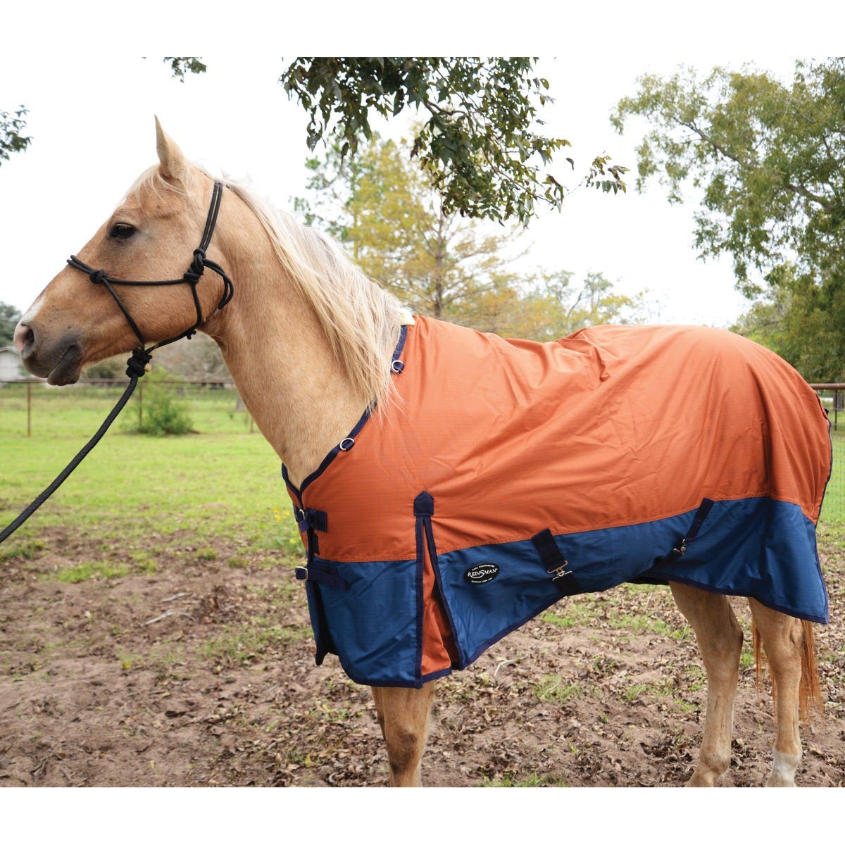 Reinsman Classic Series H101-81-RT Turnout Winter Blanket, Blue/Rust