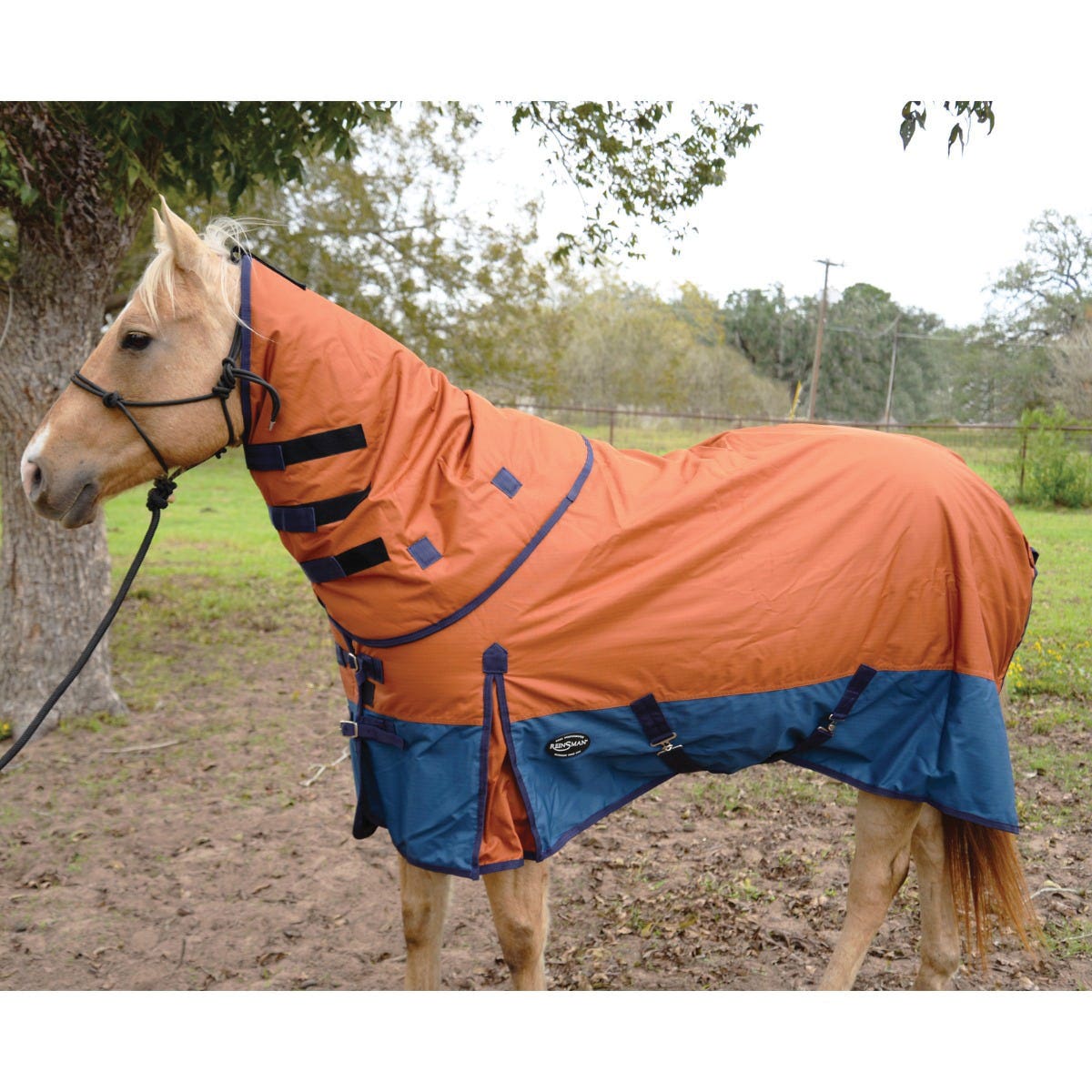 Reinsman Classic Series H101-81-RT Turnout Winter Blanket, Blue/Rust