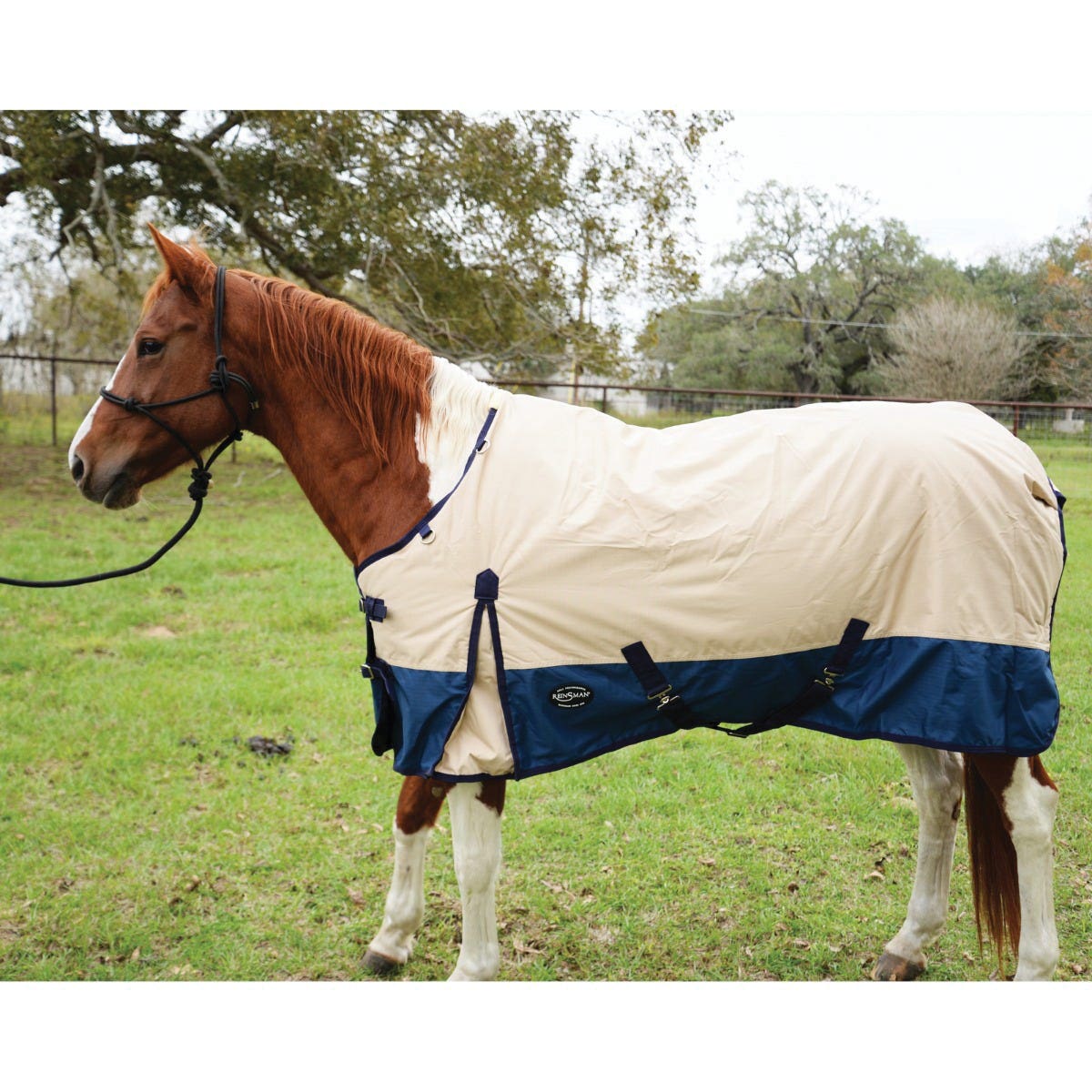Reinsman Classic Series H101-72-TB Turnout Winter Blanket, Blue/Tan