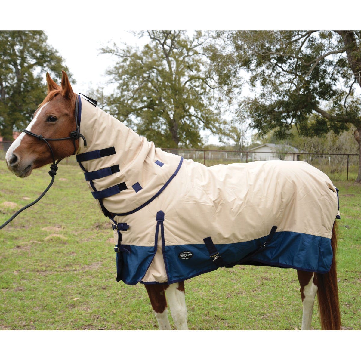 Reinsman Classic Series H101-81-TB Turnout Winter Blanket, Blue/Tan