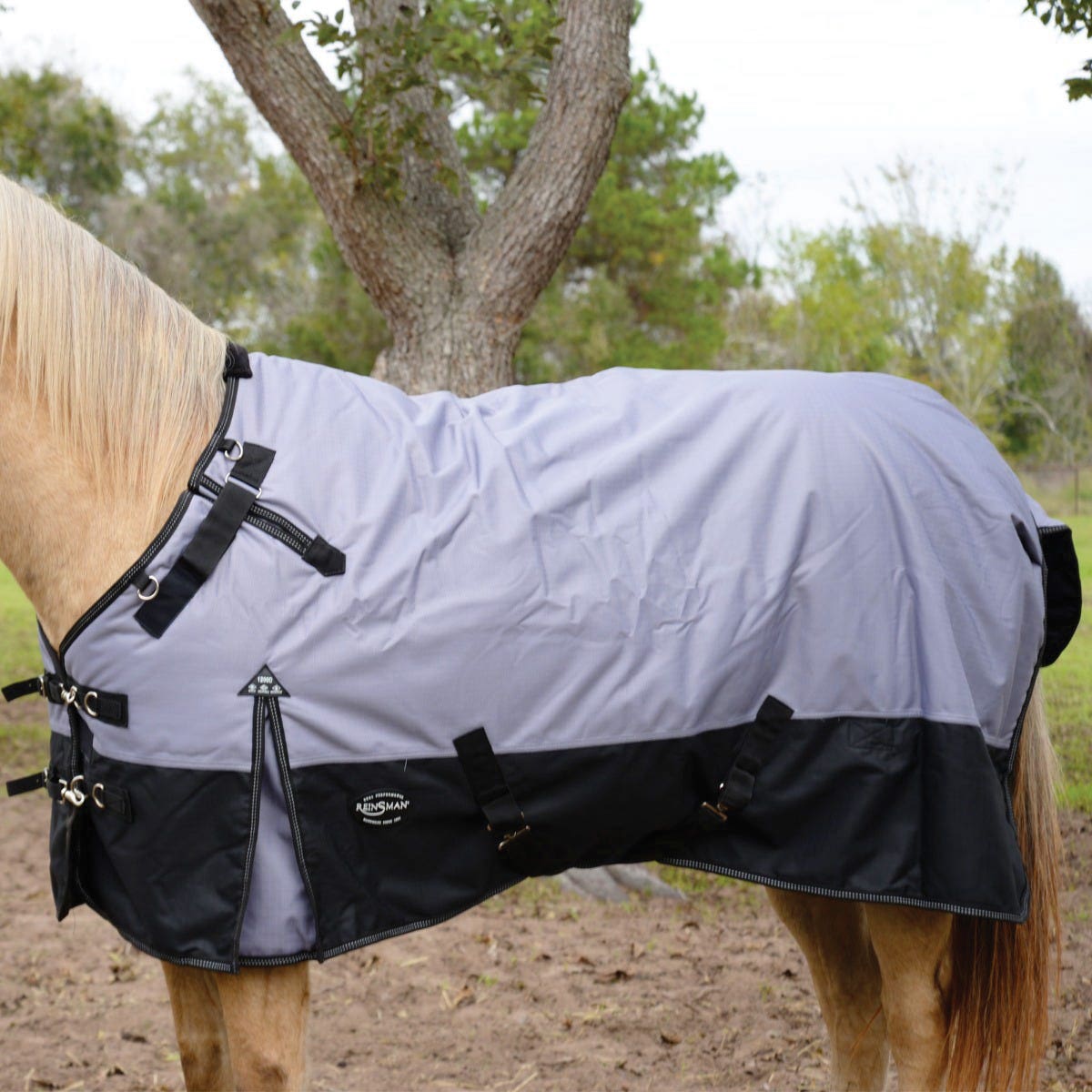 Reinsman H104-78-GB Turnout Winter Blanket, Black/Gray