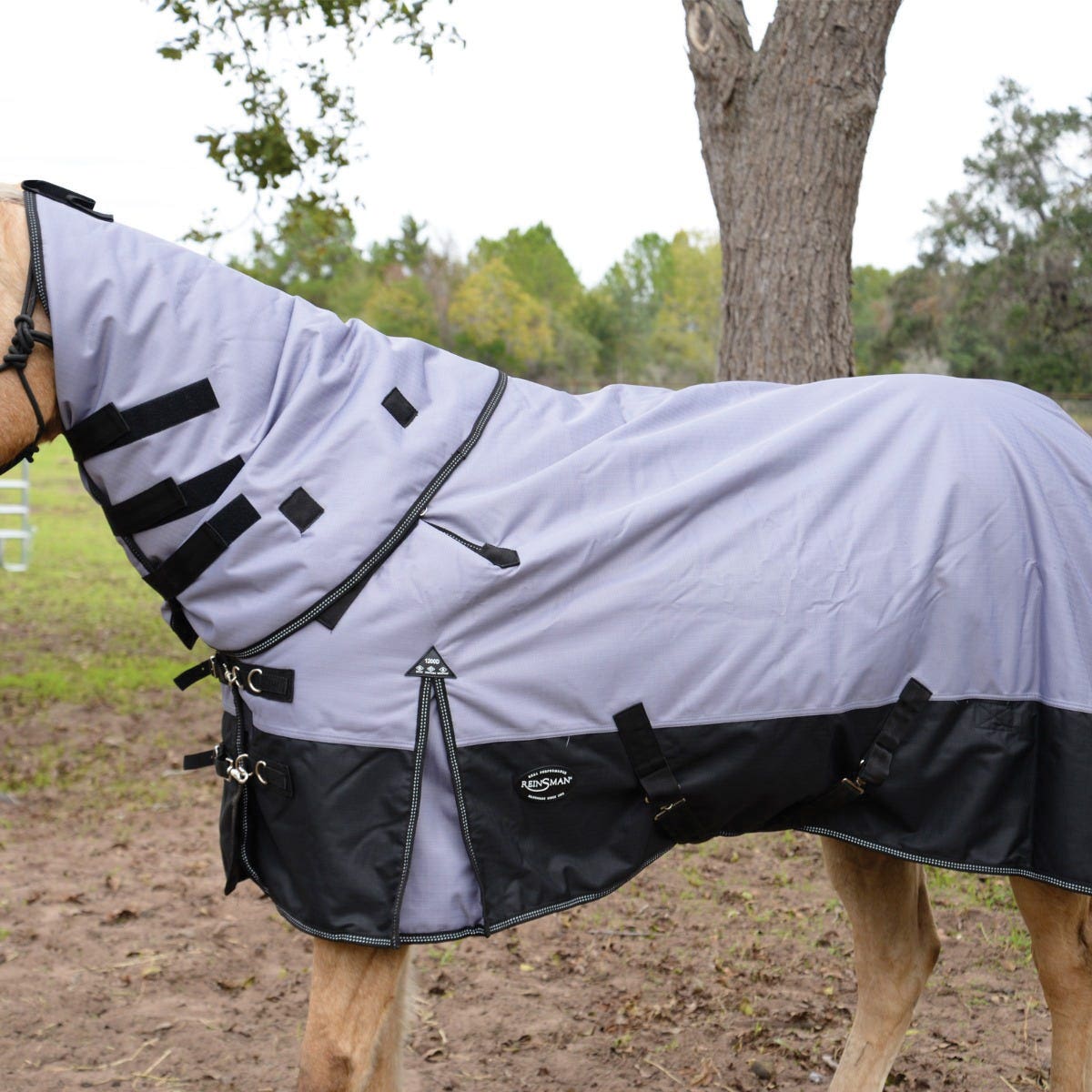 Reinsman H104-78-GB Turnout Winter Blanket, Black/Gray