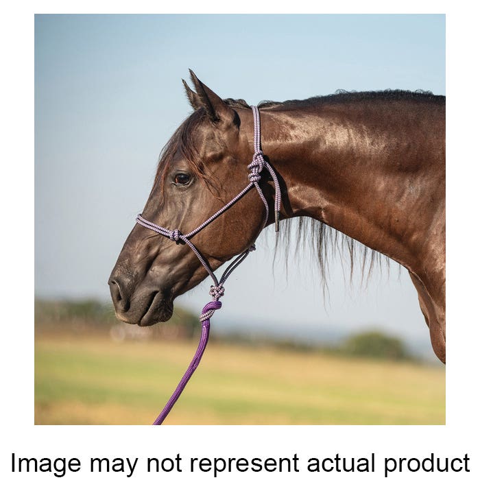 Classic Equine HALTER24PRGY Rope Halter, One-Size, Nylon, Gray/Purple