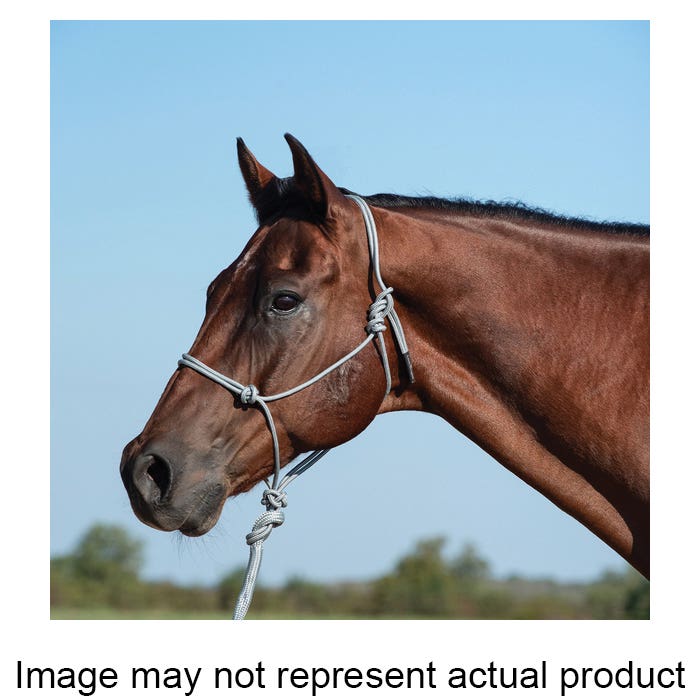 Classic Equine HALTER24GY Rope Halter, One-Size, Nylon, Gray