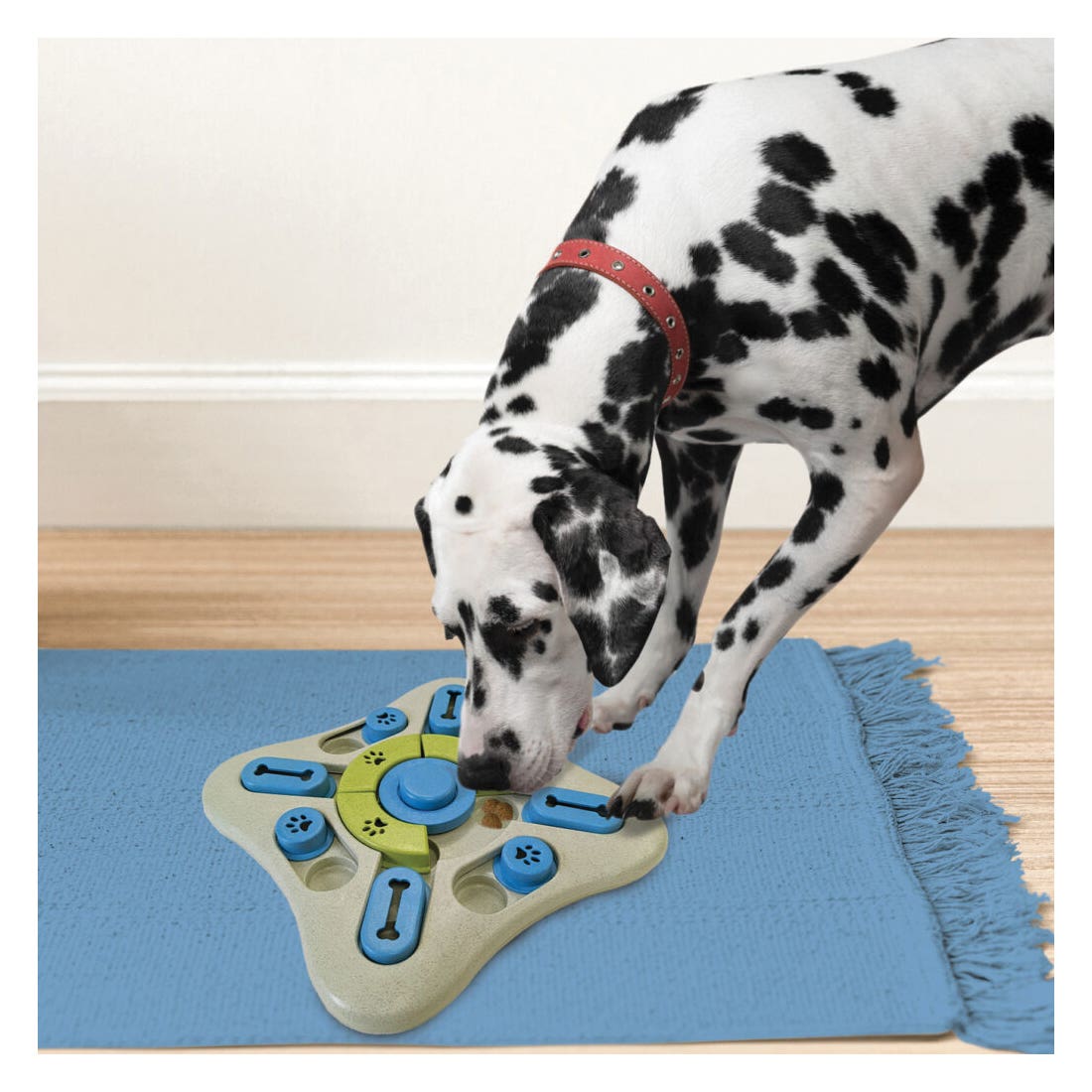 Seek-A-Treat Dog Toy, Pushbutton Squeaker, Slide 'N Turn Puzzle