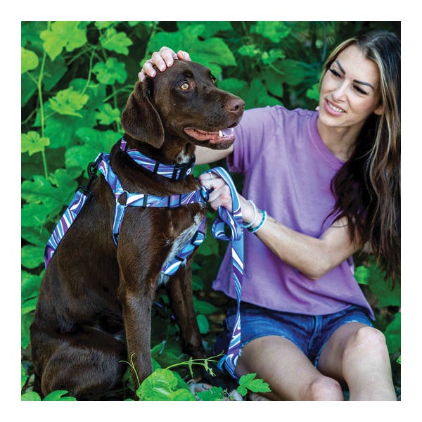 Wolfgang WH-004-38 MarbleWave Comfort Dog Harness, Buckle, Polyester, 4 ft Harness