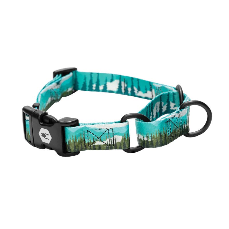 Wolfgang WM-512-38 Martingale Dog Collar, D-Ring, 14 to 18 in L, 1 in W, Polyester/Steel