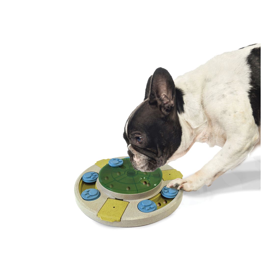 Spot Dog Toy, Spinner Puzzle