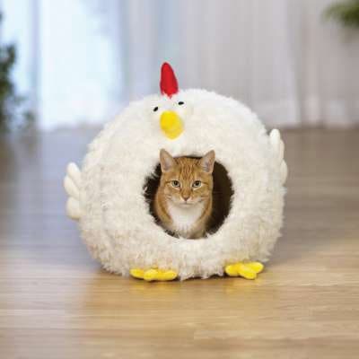 Prevue Pet Products 7600 Comfy Chicken Hideaway, White
