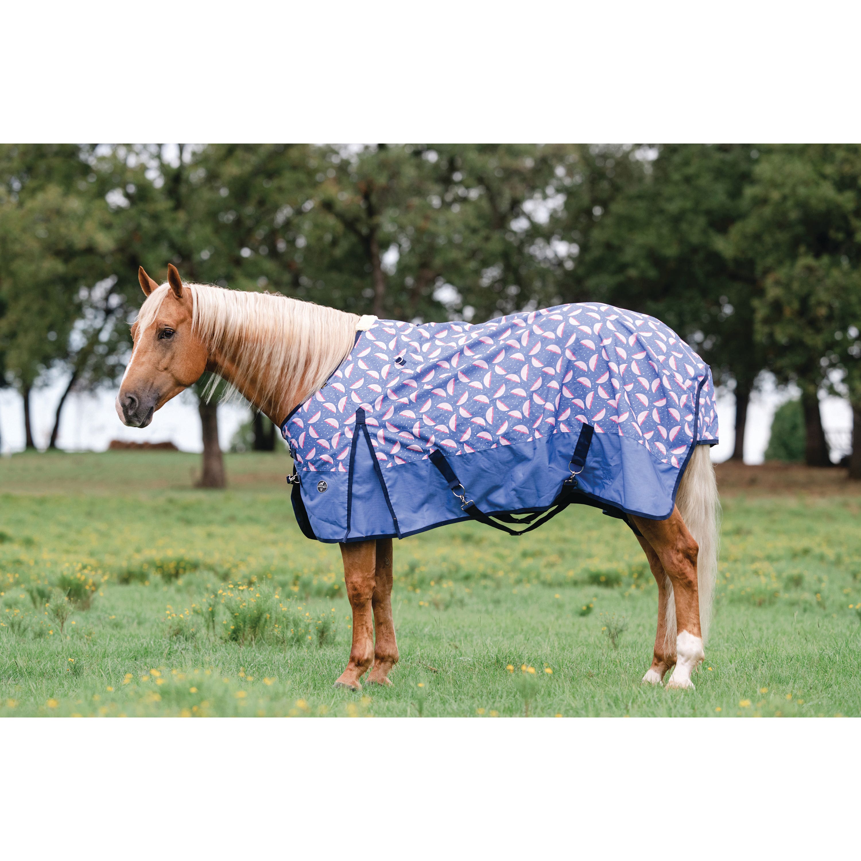 Professional's Choice PCRS58-RCD Rain Sheet, 58 in, Rubber, Blue