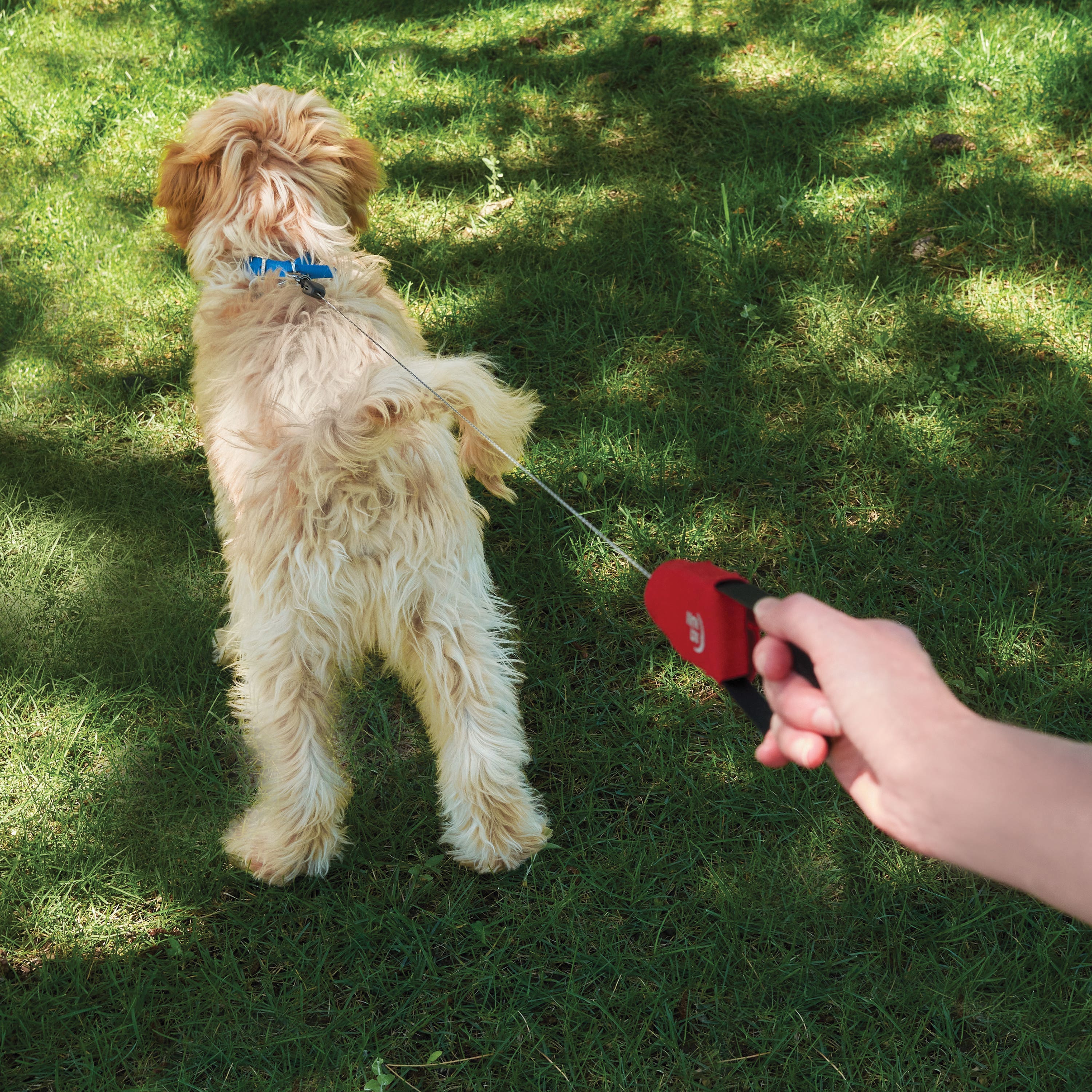 Nite Ize RadDog Series RRPLS-10-R3 Retractable Pocket Leash, 45 in L, S