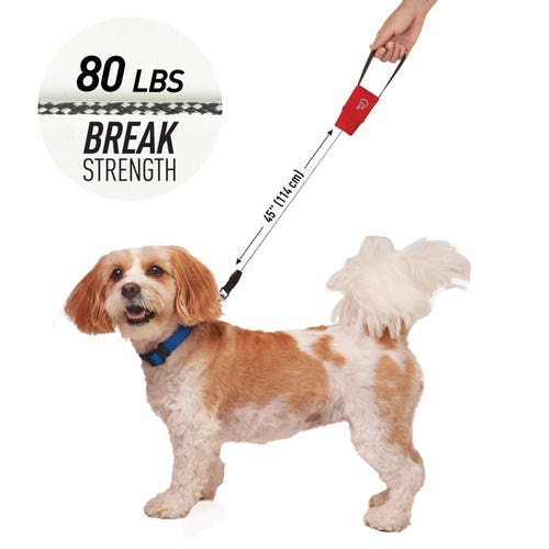 Nite Ize RadDog Series RRPLS-10-R3 Retractable Pocket Leash, 45 in L, S