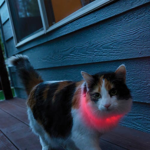 Nite Ize NiteMeow Series NHOMRC-07S-R3 Rechargeable Safety Necklace, Polymer, Clear