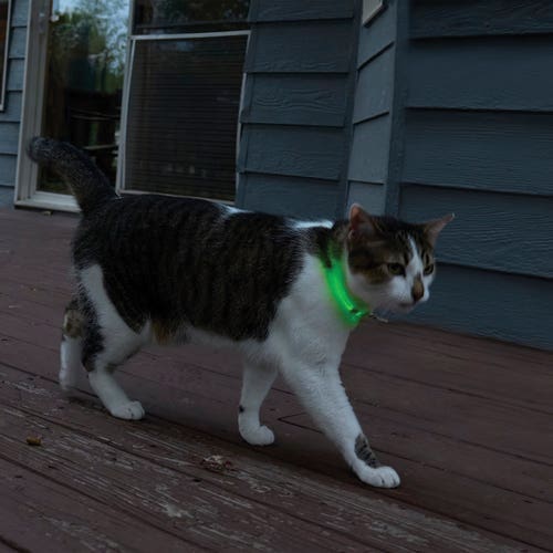 Nite Ize NiteMeow Series NHOMRC-07S-R3 Rechargeable Safety Necklace, Polymer, Clear